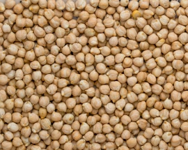 chickpeas garbanzo beans