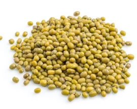 green gram mung bean