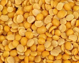 pigeon pea trhartur