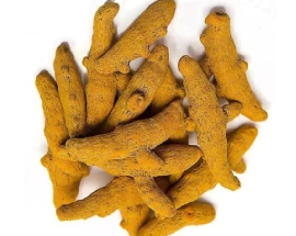 dried turmeric finger