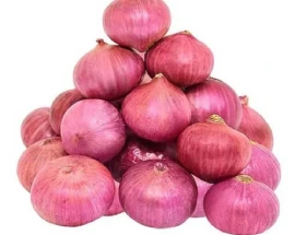 fresh onion