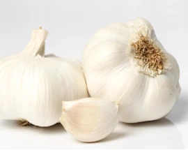 garlic